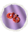 36.png